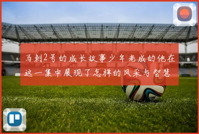马刺2号的成长故事少年老成的他在这一集中展现了怎样的风采与智慧