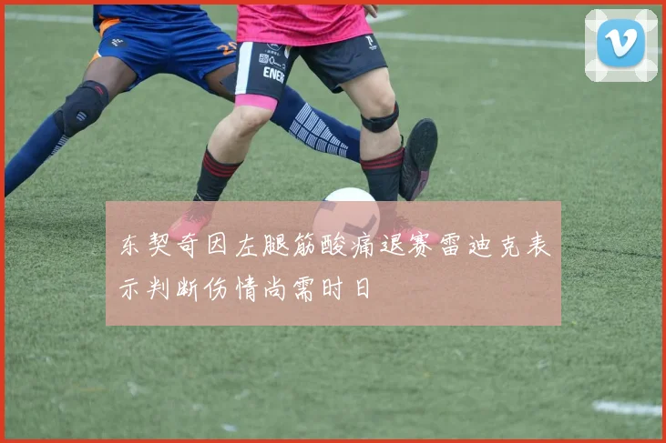 东契奇因左腿筋酸痛退赛雷迪克表示判断伤情尚需时日